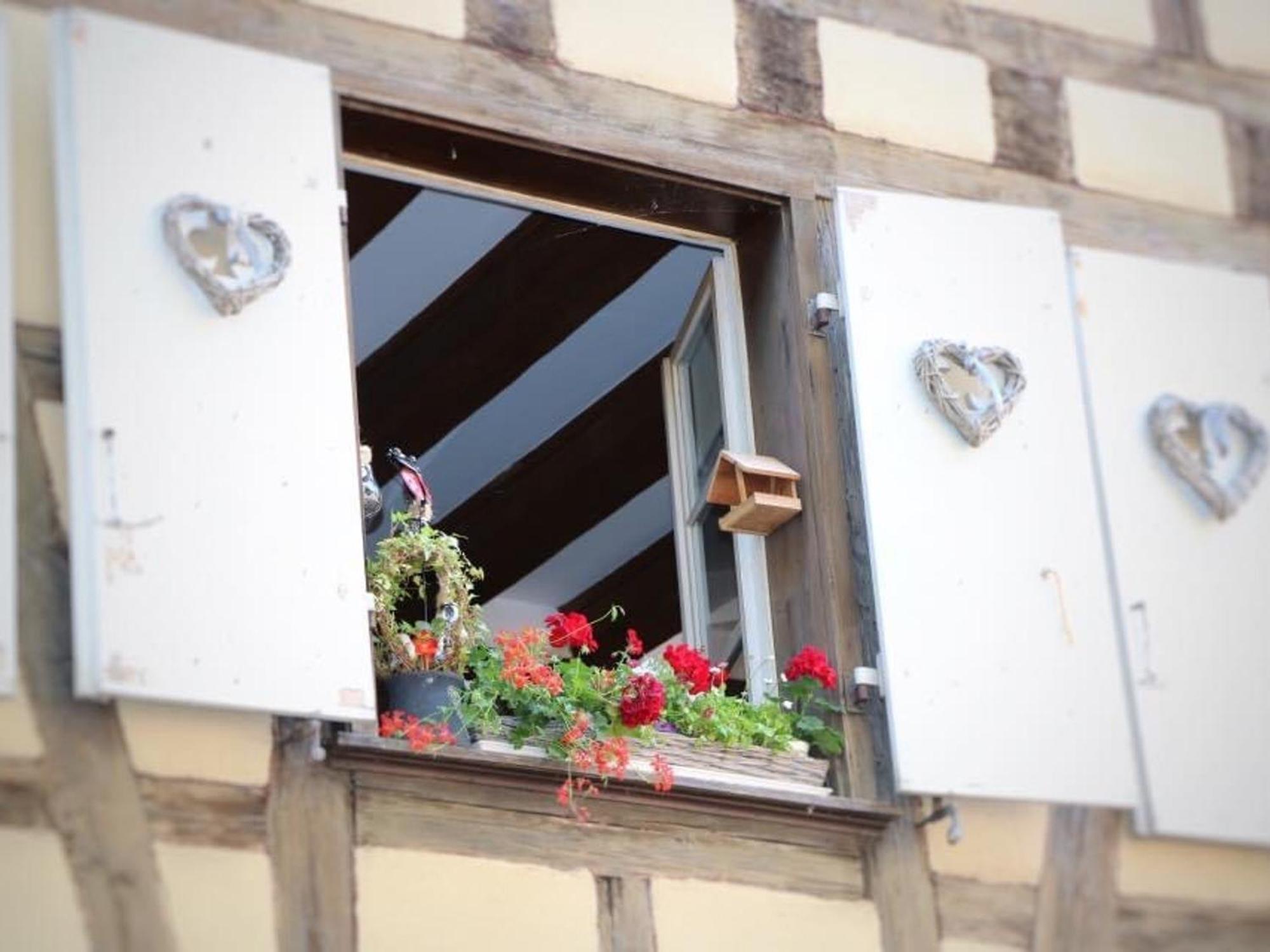 Charmant Appart Avec Garage Et Terrasse Au Coeur De Colmar, Pres De La Route Des Vins D'Alsace - Fr-1-722-6 Dış mekan fotoğraf