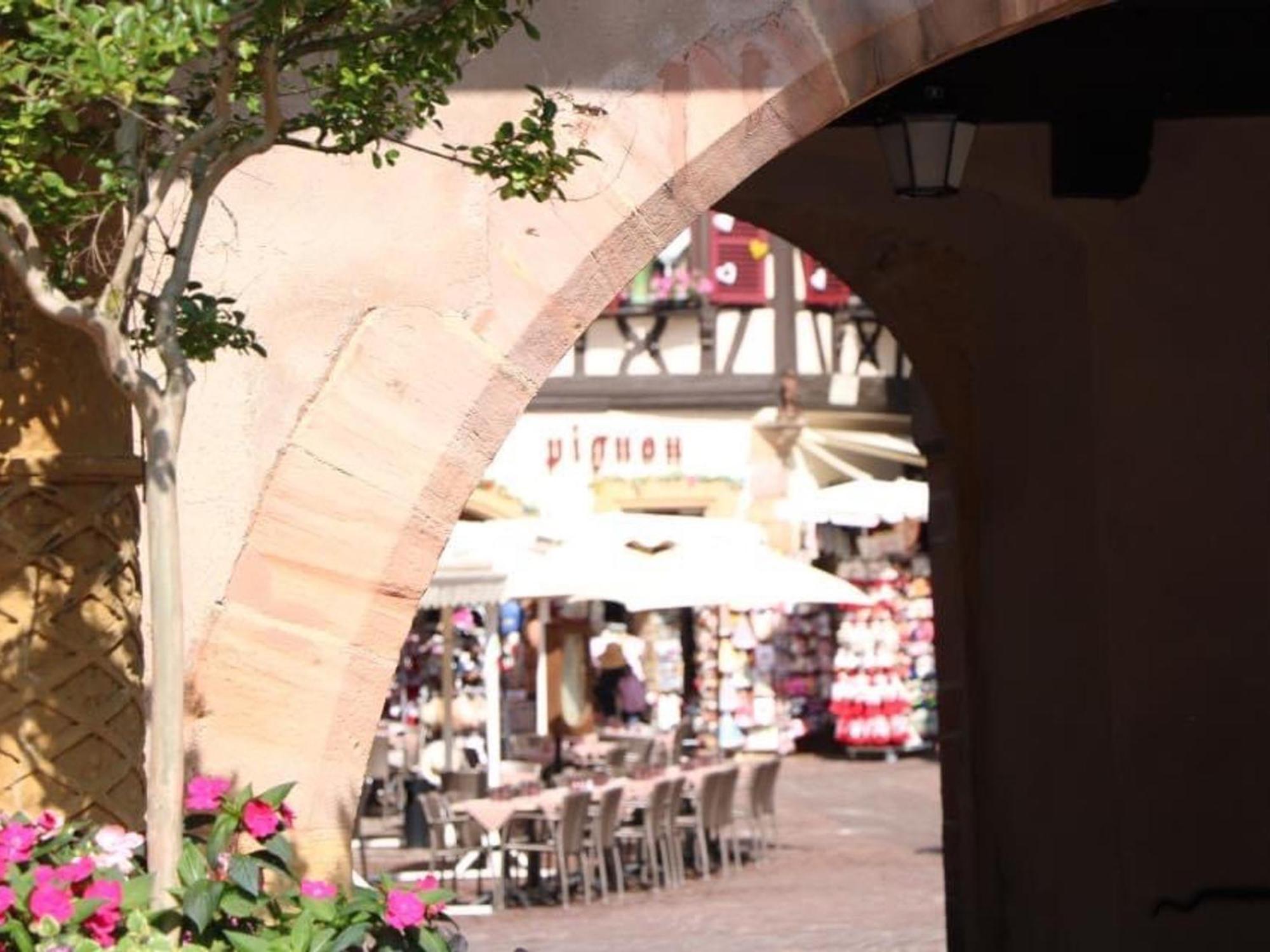 Charmant Appart Avec Garage Et Terrasse Au Coeur De Colmar, Pres De La Route Des Vins D'Alsace - Fr-1-722-6 Dış mekan fotoğraf