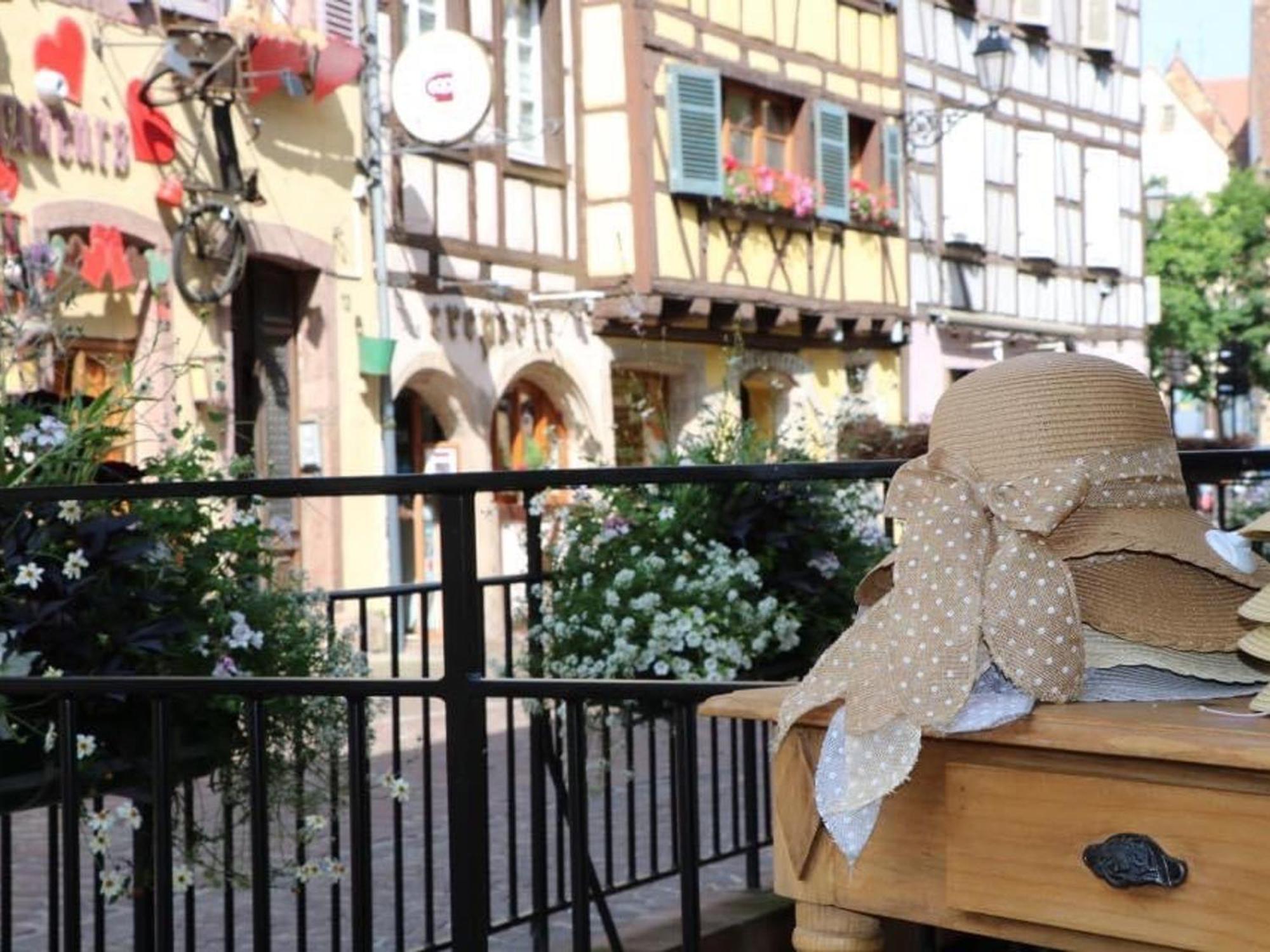 Charmant Appart Avec Garage Et Terrasse Au Coeur De Colmar, Pres De La Route Des Vins D'Alsace - Fr-1-722-6 Dış mekan fotoğraf