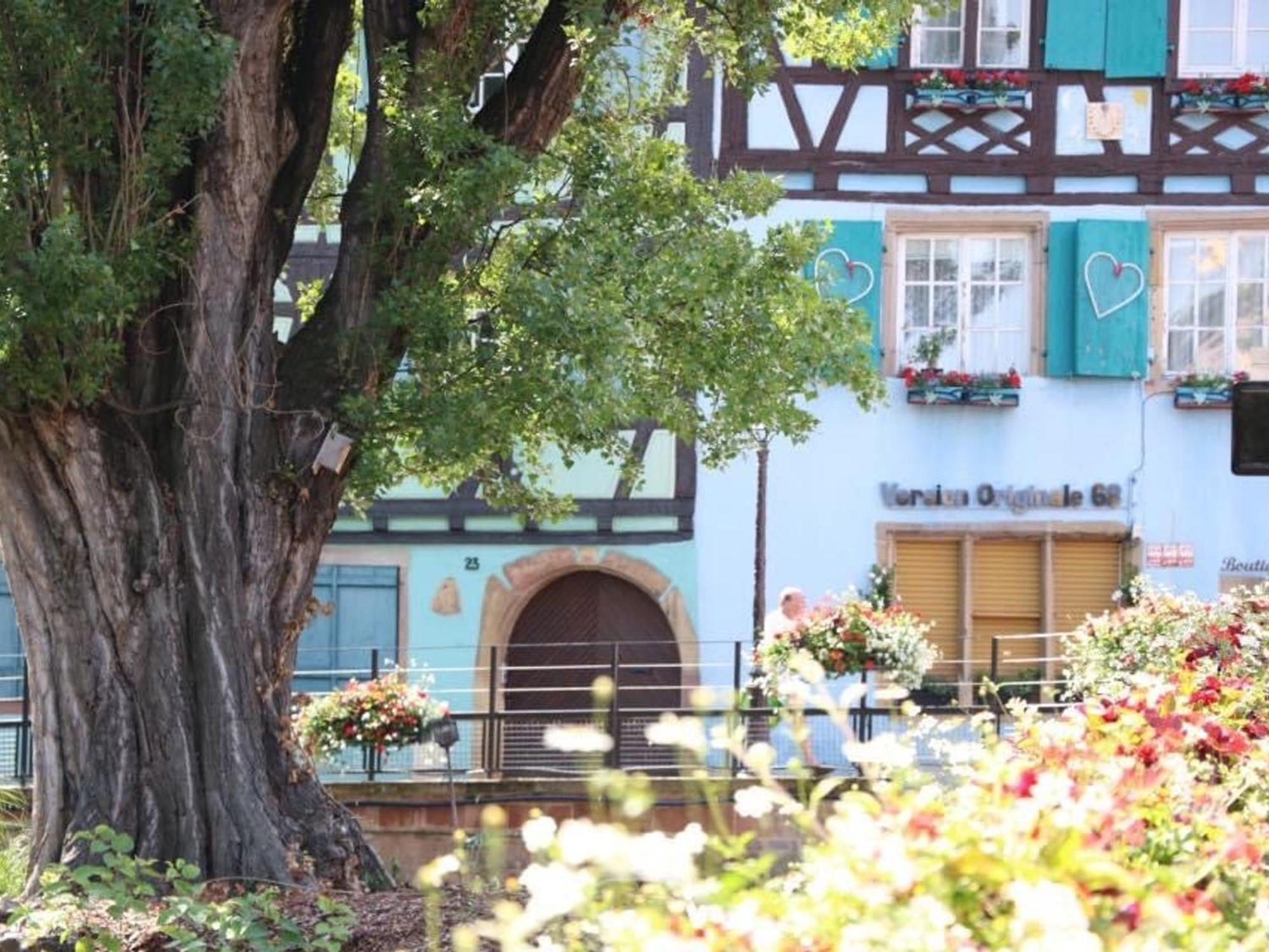 Charmant Appart Avec Garage Et Terrasse Au Coeur De Colmar, Pres De La Route Des Vins D'Alsace - Fr-1-722-6 Dış mekan fotoğraf